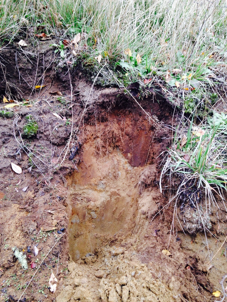 soil science